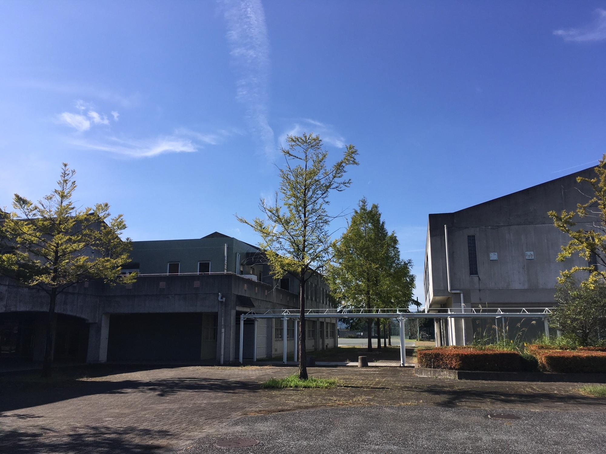 中央に真っすぐ木々が建ち並んだ左右に校舎が建っている旧上野台中学校の敷地内の写真