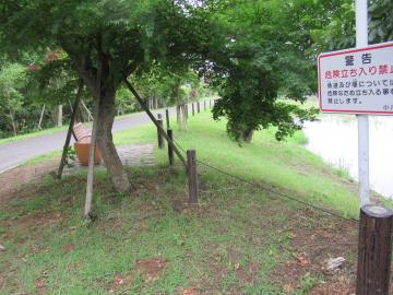 公園内の木やベンチに流れ着いた大量の流木がきれいに取り除かれた災害復旧工事後の写真