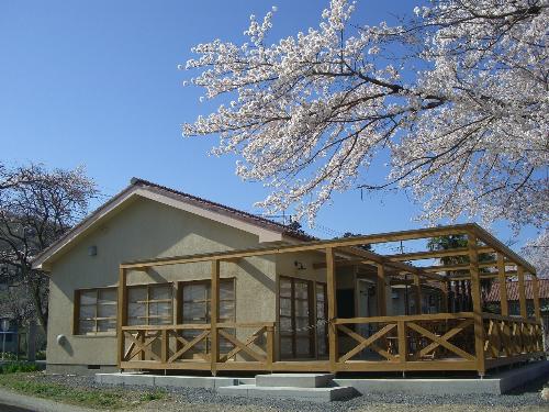 満開の花が咲く桜の木の奥に、広いウッドデッキが設置された分校カフェMOZARTの建物外観の写真