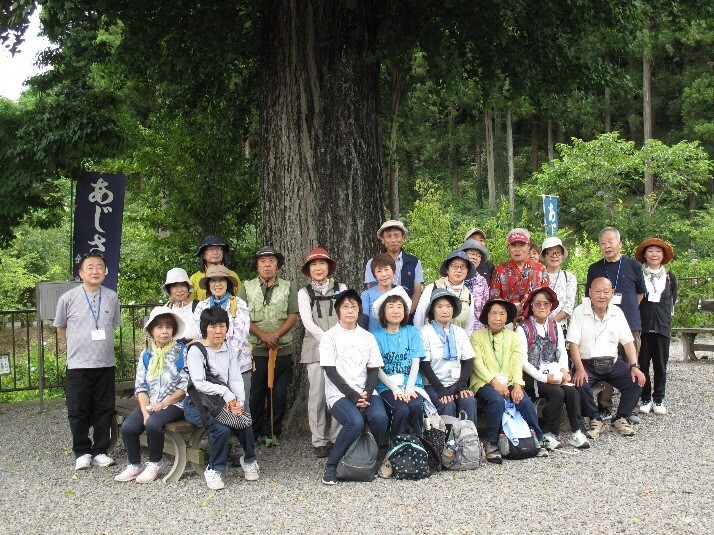 参加者たちが幹の太い大きな木の下に集合している写真