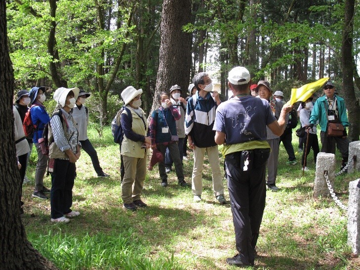 木々の中にある中城跡を参加者たちが見学している写真