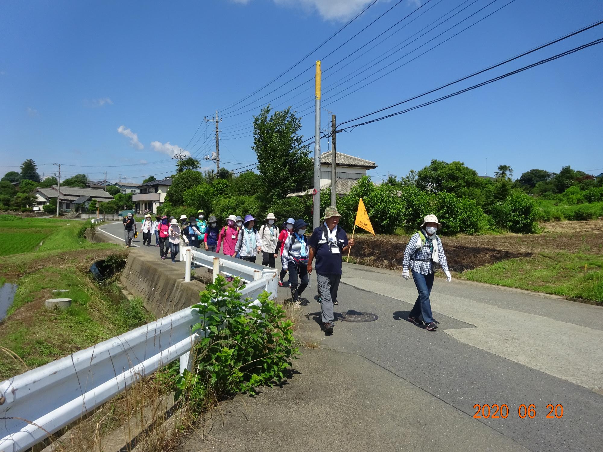 快晴の空の下、先頭で黄色の旗を持つ男性の後ろに続く参加者の方々の様子を前から撮影した写真