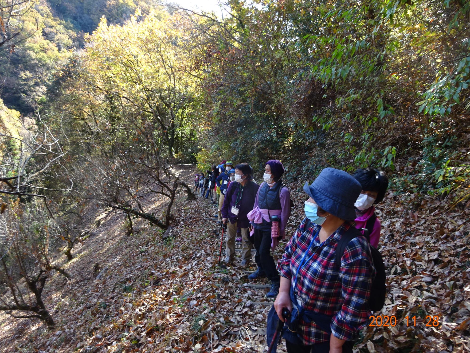 落ち葉が敷き詰められたような山道の斜面で立ち止まった参加者の方々が左方向に目を向けている様子を前方から撮影した写真