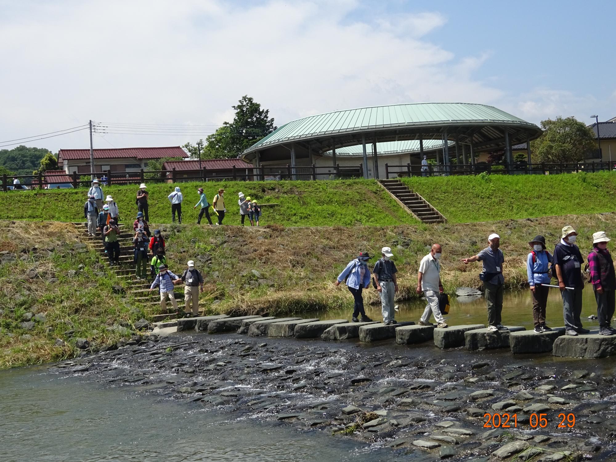 参加者たちが槻川の中に一列に設置された川を渡るための大きな石の上を順番に渡っている写真