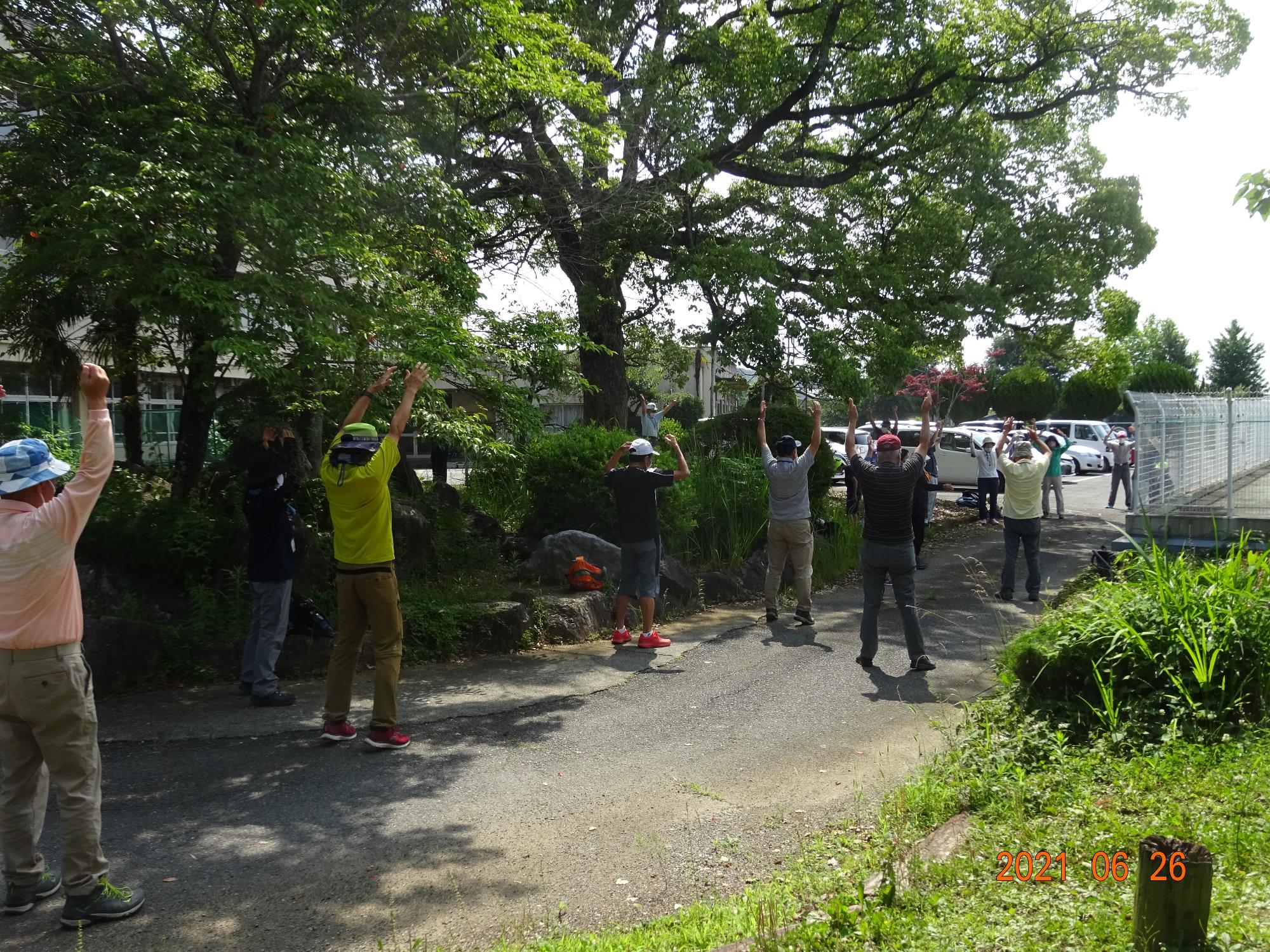 参加者たちが大きな木の木陰でラジオ体操をしている写真