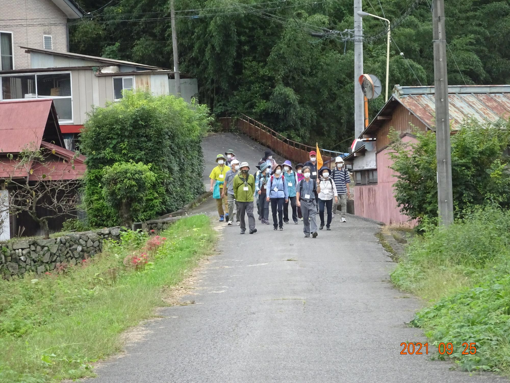 参加者たちが、木々が茂る住宅地の中の道路を連れ立って歩いている写真