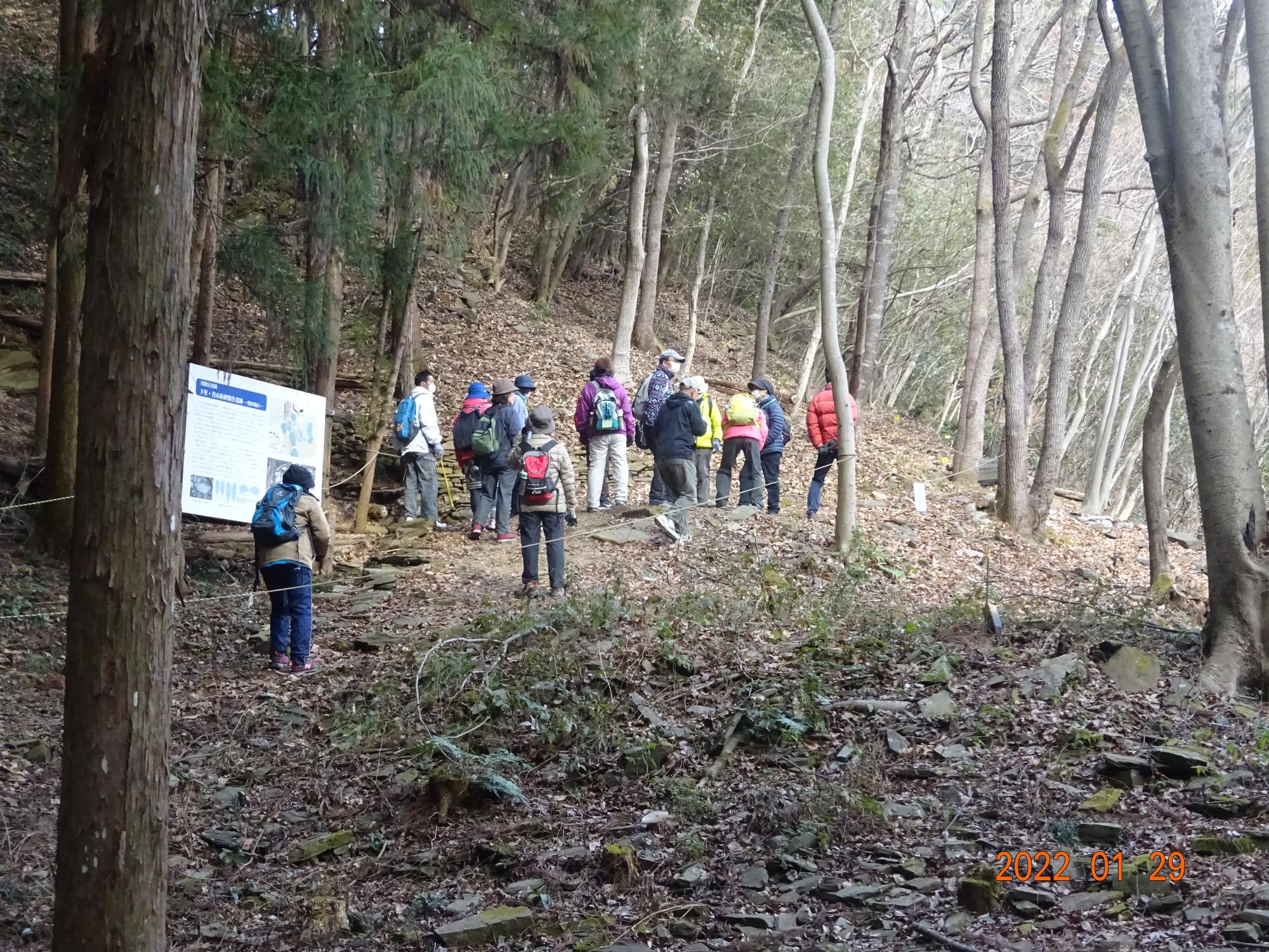 参加者たちが木々が生える少し傾斜のついた山道を歩いている写真