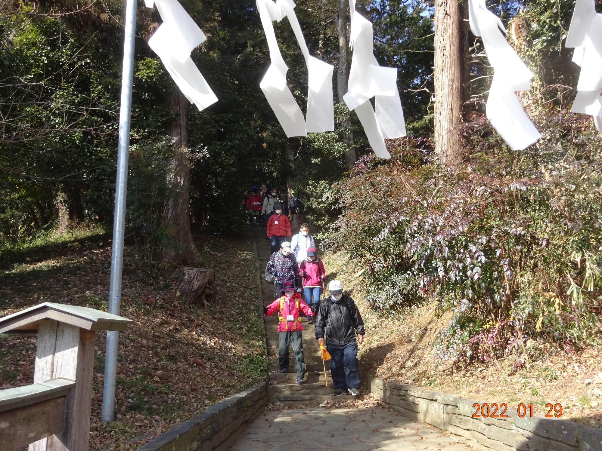 参加者たちが両脇に大きな木々が立つ細い階段を下りている写真