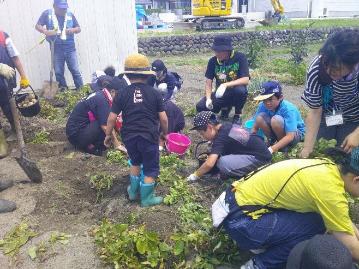 じゃがいもほり