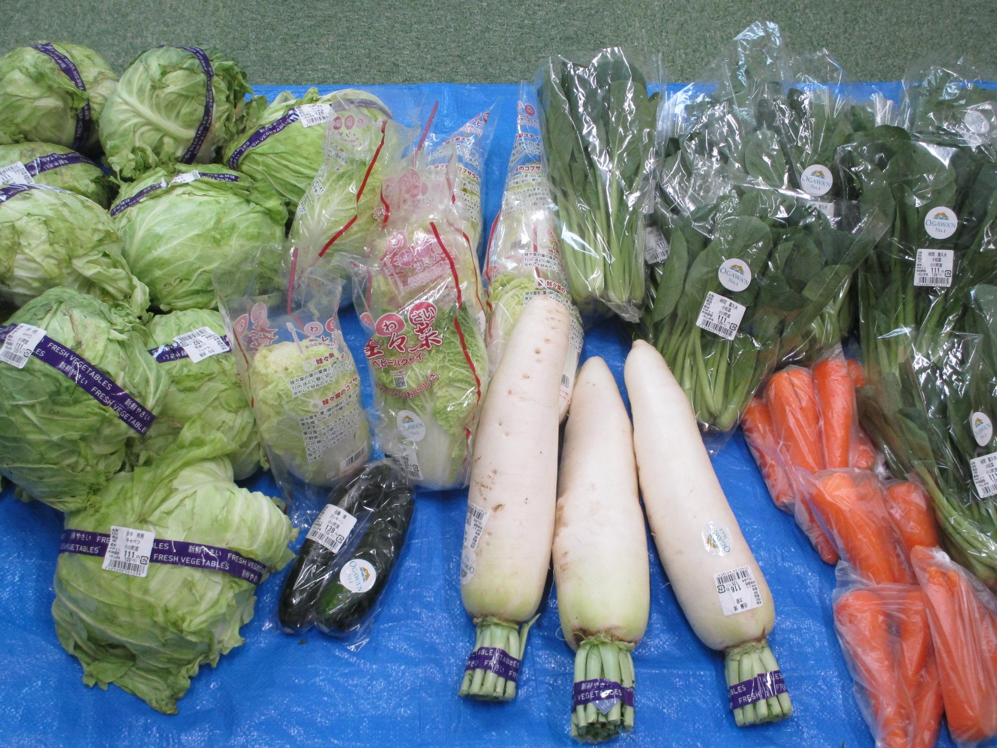 大根、小松菜など提供された野菜
