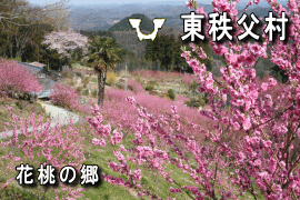 ���������z�[���y�[�W��